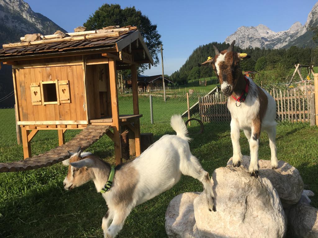 Vorderponholz Ferienwohnungen Ramsau bei Berchtesgaden Ngoại thất bức ảnh