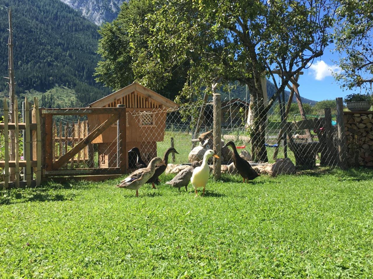 Vorderponholz Ferienwohnungen Ramsau bei Berchtesgaden Ngoại thất bức ảnh